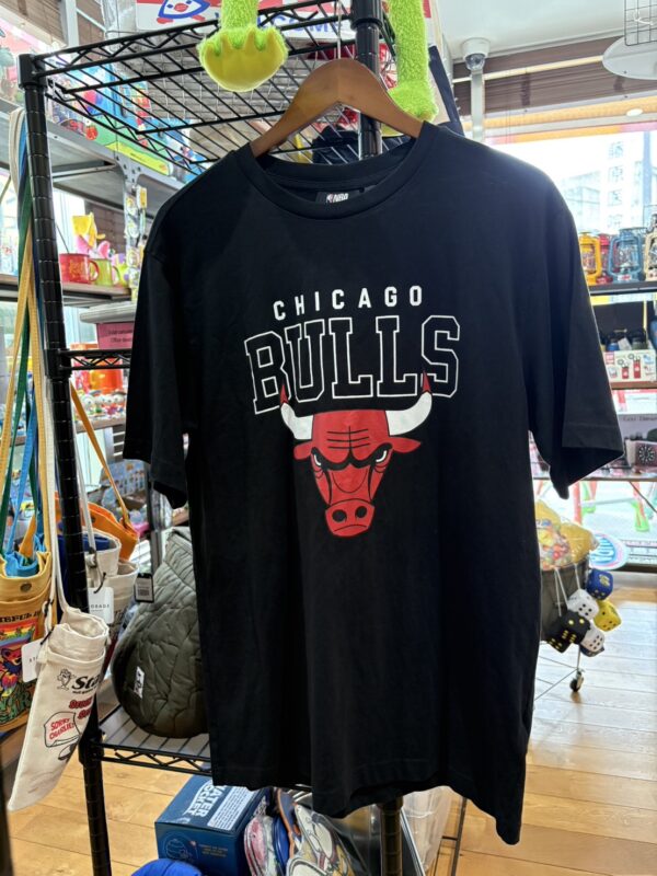 シカゴブルズ　Tシャツ　Lサイズ - 画像 (2)